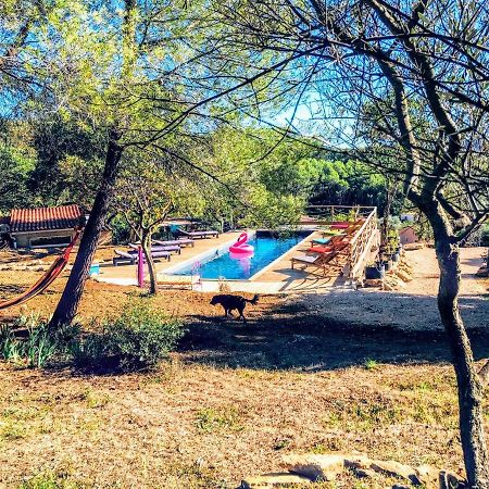 Arche De Noe Atypique, Boheme , Nature, Piscine Chauffee De Paques A Toussaint , Spa , Sauna , Loisirs لو بوزيت المظهر الخارجي الصورة