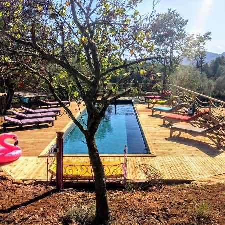 Arche De Noe Atypique, Boheme , Nature, Piscine Chauffee De Paques A Toussaint , Spa , Sauna , Loisirs لو بوزيت المظهر الخارجي الصورة