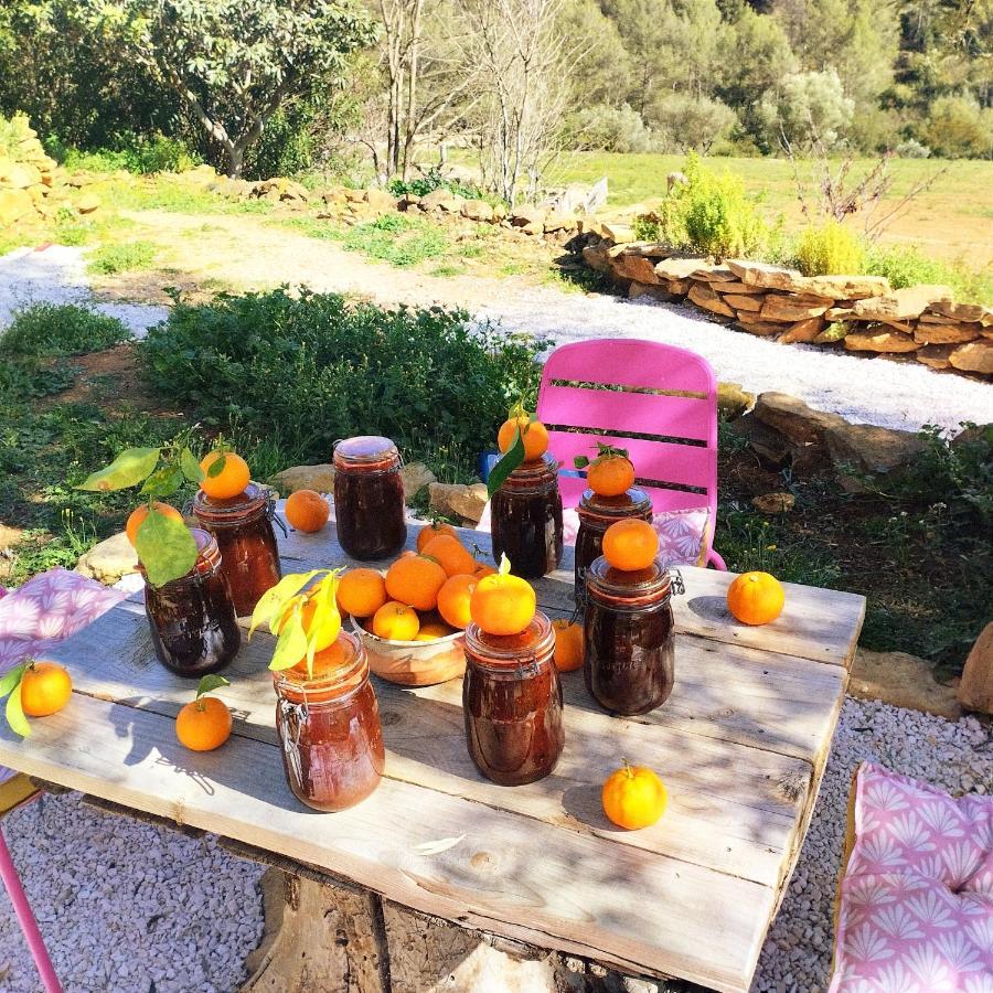 Arche De Noe Atypique, Boheme , Nature, Piscine Chauffee De Paques A Toussaint , Spa , Sauna , Loisirs لو بوزيت المظهر الخارجي الصورة