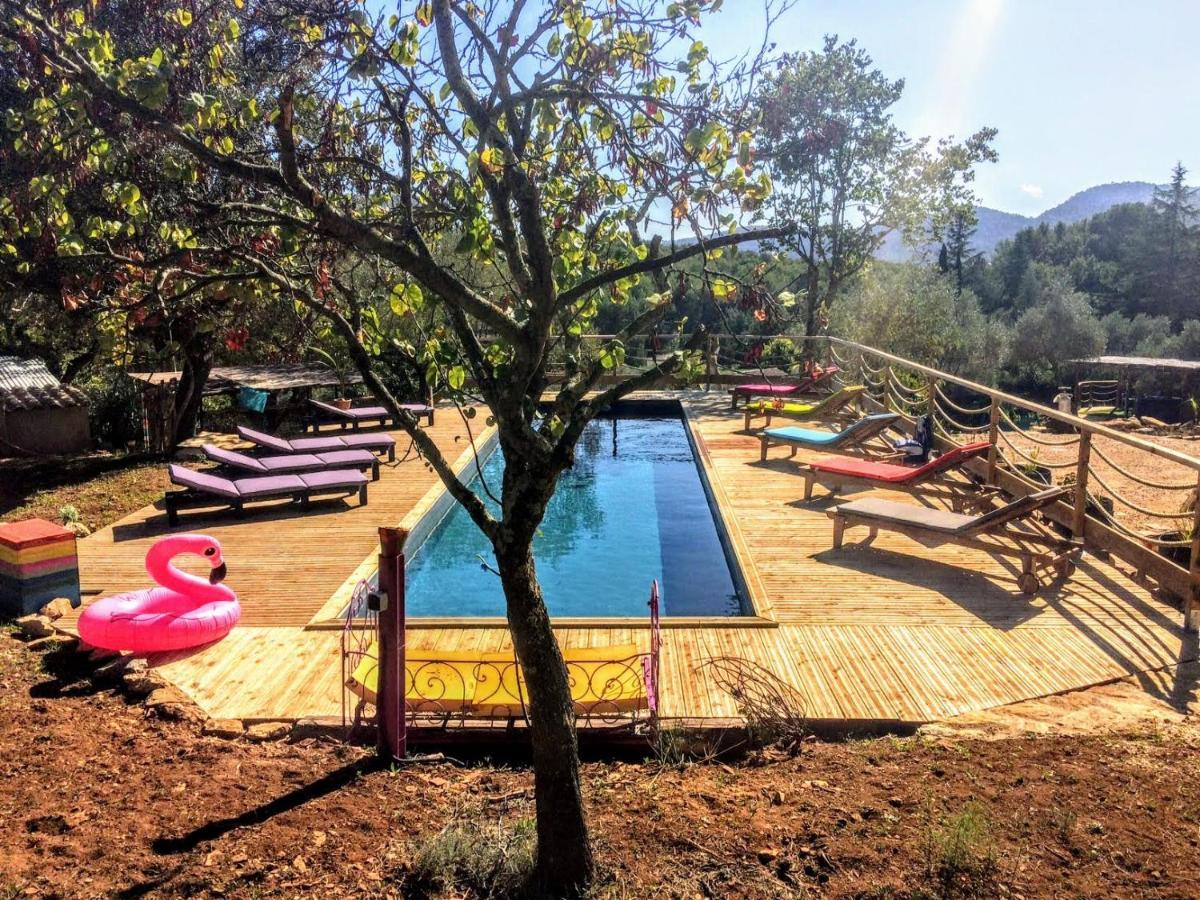 Arche De Noe Atypique, Boheme , Nature, Piscine Chauffee De Paques A Toussaint , Spa , Sauna , Loisirs لو بوزيت المظهر الخارجي الصورة