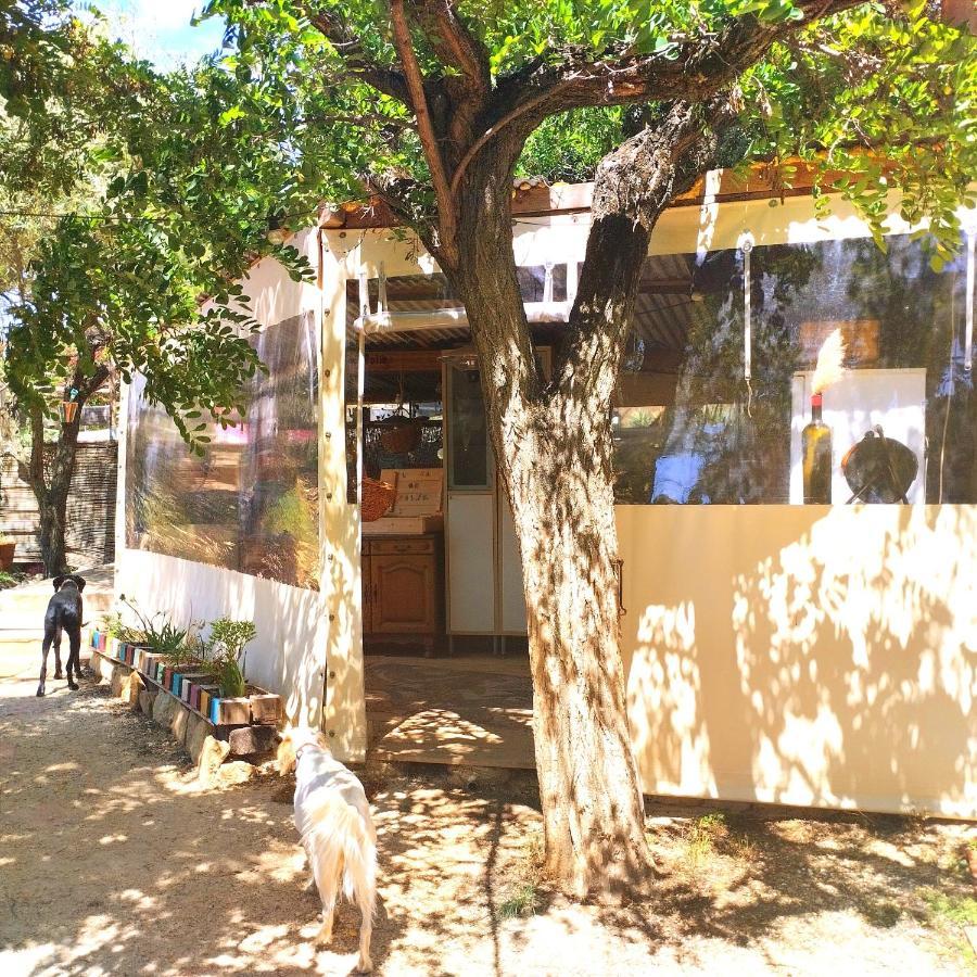 Arche De Noe Atypique, Boheme , Nature, Piscine Chauffee De Paques A Toussaint , Spa , Sauna , Loisirs لو بوزيت المظهر الخارجي الصورة